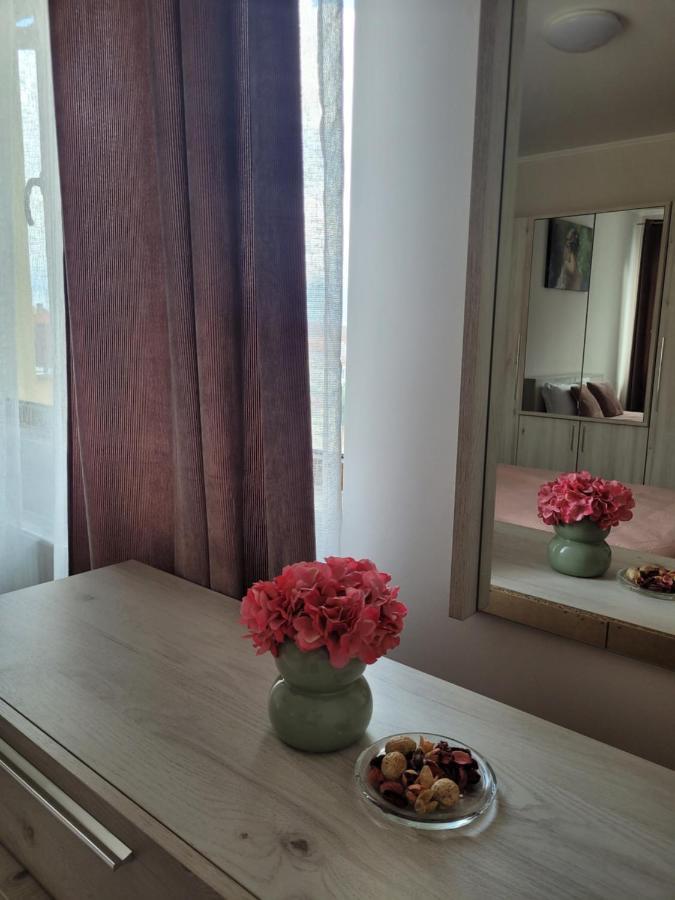 Apartamento Amparo Satu Mare Exterior foto
