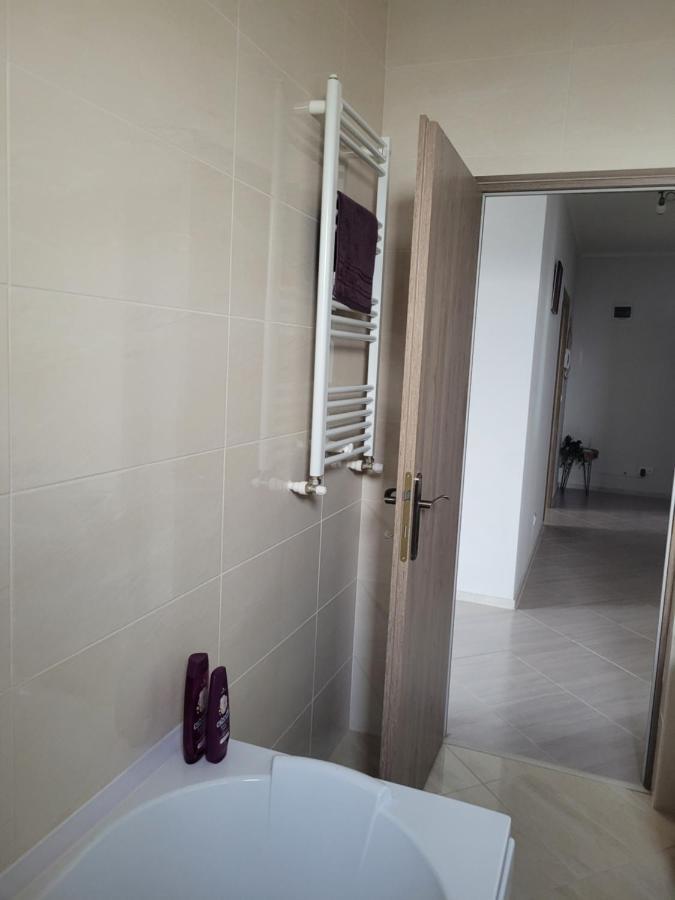 Apartamento Amparo Satu Mare Exterior foto
